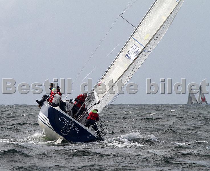 ORCi 412.jpg